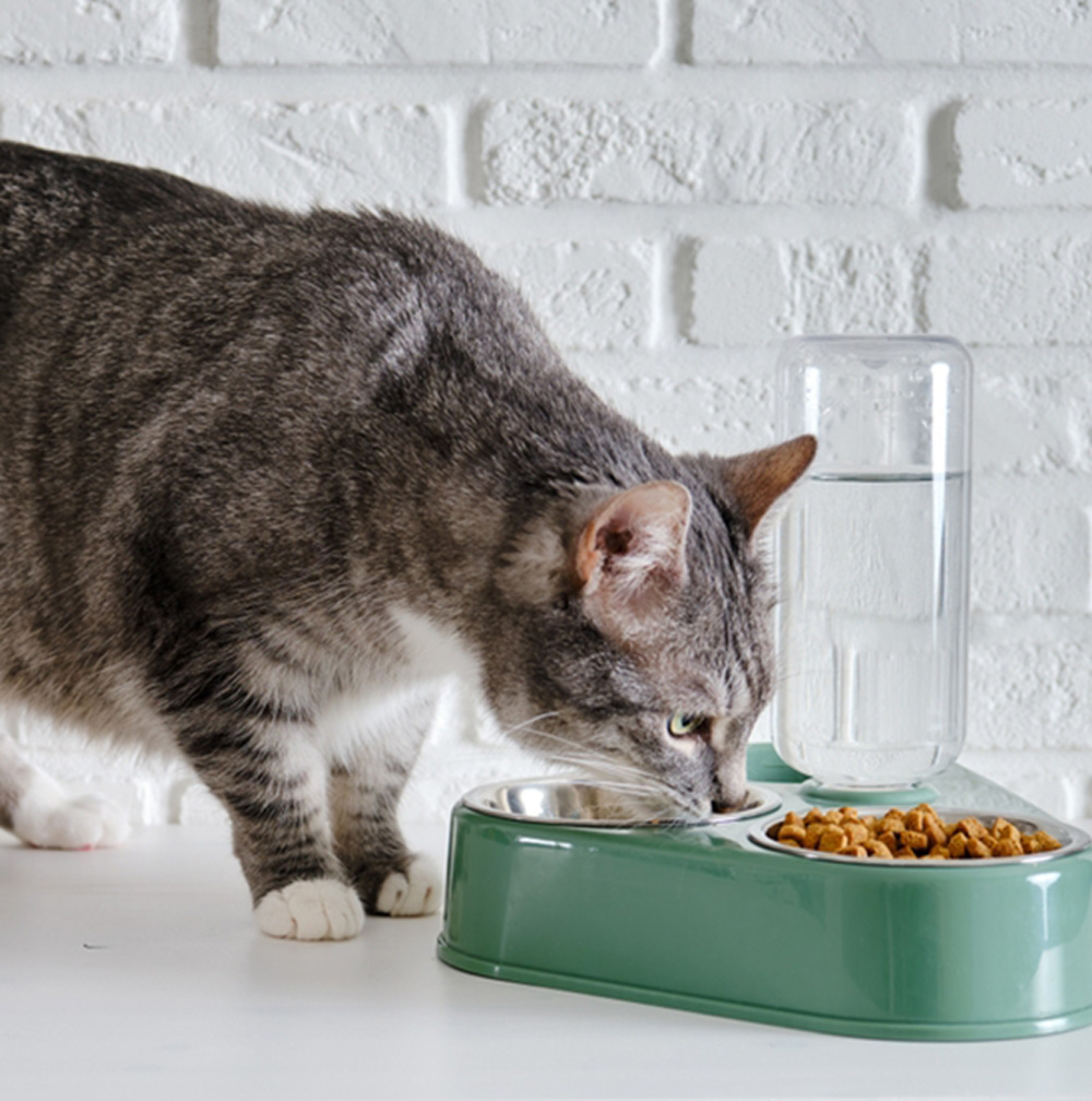A good diet is key to keeping your senior pet healthy